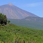 EuropaPress_6908409_coordinan_dispositivo_seguridad_frente_aglomeraciones_miradores_corona-1024x597