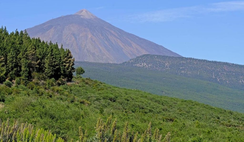 EuropaPress_6908409_coordinan_dispositivo_seguridad_frente_aglomeraciones_miradores_corona-1024x597
