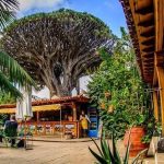 featured-1775027007878