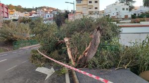 featured-1775585380680